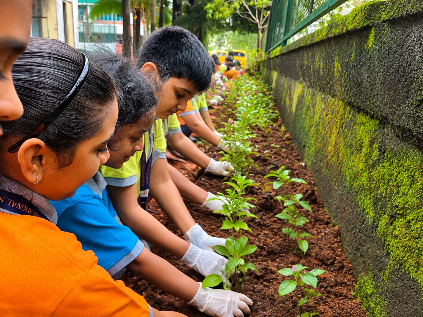 Primary Learning